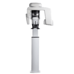 CS 8100